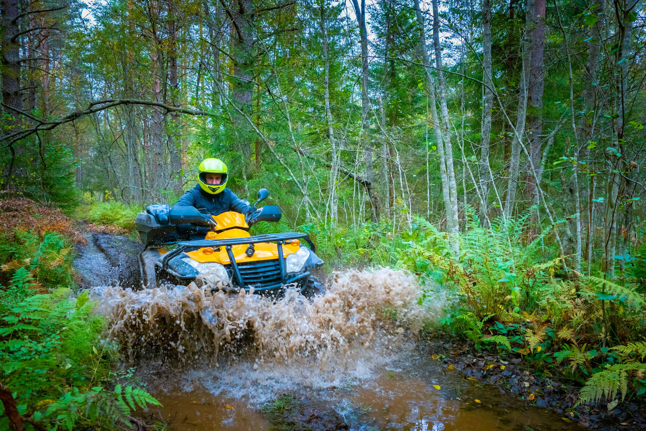  ATV Insurance.1